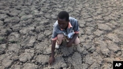 Desa Chivi di Zimbabwe mengalami kekeringan parah akibat kemarau di sana (foto: dok).