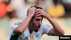 En Algérie, l'élimination des Fennecs a été vécue comme un drame national. 