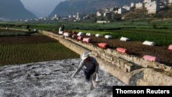 Un trabajador agrícola prepara la tierra para la siembra en medio de la pandemia de coronavirus en Almolonga, Guaemala.