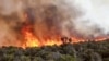 La Tanzanie déploie l'armée face à un feu sur le Kilimandjaro