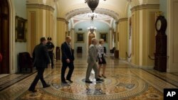 FILE - U.S. senators are seen leaving the Senate chamber on Capitol Hill, in Washington, May 31, 2015.