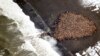 Plants, Animals Affected as Alaska Records Hottest Month