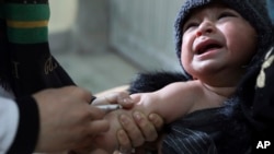 سازمان جهانی صحت گفته که از ابتدای سال ۳۱هزار و ۸۸۳ مورد مشکوک سرخکان در افغانستان گزارش شده است