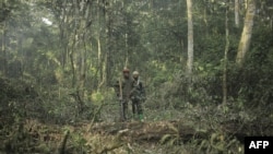 Ce groupe roulait dans le célèbre parc national Queen Elizabeth lorsqu'il a été attaqué par des membres de la milice des Forces démocratiques alliés.