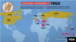 Principales exportadores e importadores de trigo en el mundo
