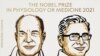 Los estadounidenses Julius y Patapoutian ganan el Premio Nobel de Medicina 2021