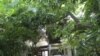 កម្ពុជា​ដោះ​លែង​ឱ្យ​លោក ​Devillers ​ទៅ​ចិន​តាម​បំណង​