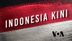 Ratusan Mamalia Laut Terdampar di Timur Indonesia, Pemerintah Didorong Libatkan Semua Pihak dalam Jejaring Penanganan