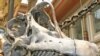 Fossil Studies Show Dinosaurs Were Warm-Blooded