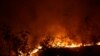 G-7 Countries Donating $22 Million to Fight Amazon Wildfires