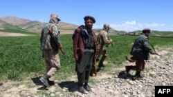تلاش طالبان برای تخریب مزارع کوکنار در بدخشان سبب درگیری و کشته شدن دو باشندۀ محل در ولسوالی‌های درایم و ارگوی آن ولایت شد.