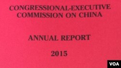 CECC 2015年中国报告