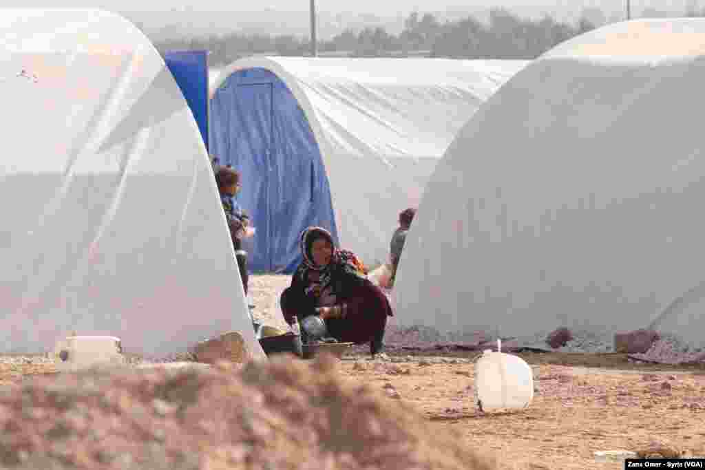 Kampa Waşokanî li Bakur û Rojhilatê Sûriyê