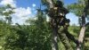 A member of Bumi Anti Poaching Unit scouts for poachers in Sebungwe area, Kariba, Zimbabwe, Feb., 2017. 