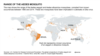 WHO: Refuse Blood Donations From People Who Visited Zika-affected Areas