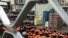 Bacteria en Europa es una nueva cepa