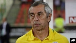 Alain Giresse, le coach français de l'équipe du Mali, lors d'un match de la CAN en Guinée-Équatorial, le 27 janvier 2015.