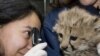 El Día de la Tierra en el zoológico
