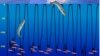 Plankton More Important than Scientists Thought