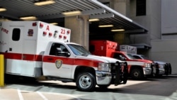 Quiz - Childhood Trauma May Lead to Adulthood Illness