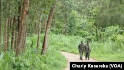 Des soldats des Forces armées de la République démocratique du Congo (Fardc) en patrouille à Oicha le 18 avril 2015. (Charly Kasereka/VOA)