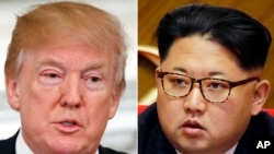 Дональд Трамп і Кім Чен Ин