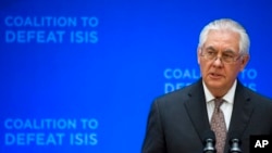 Fighting Islamic State
