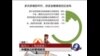 时事大家谈：公益慈善，中国人还能相信谁？