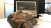 Moon Rock Volcanoes