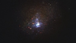 Quiz - Scientists Say a Massive Star Has Mysteriously Disappeared