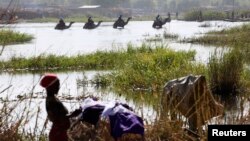 Des Nigérians fuyant les attaques de Boko Haram entrent au Tchad; des hommes traversent le lac Tchad à dos de chameaux, près d'un où une femme nettoie des habits , à Ngouboua, le 19 janvier 2015.