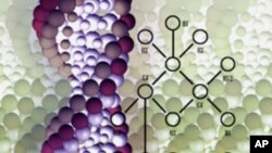 A close-up of DNA strand & molecular structure