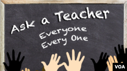 Everyone and Every One