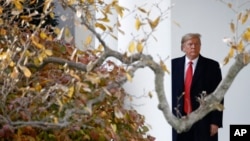 Predsednik Donald Tramp ispred ulaza u Ovalnu kancelariju sa južne strane Bele kuće (Foto: AP)