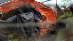ရိုဟင်ဂျာ IDP တွေ နေရပ်ရင်းမှာ အခြေချနိုင်ရေး DHRP ပါတီ တိုက်တွန်း