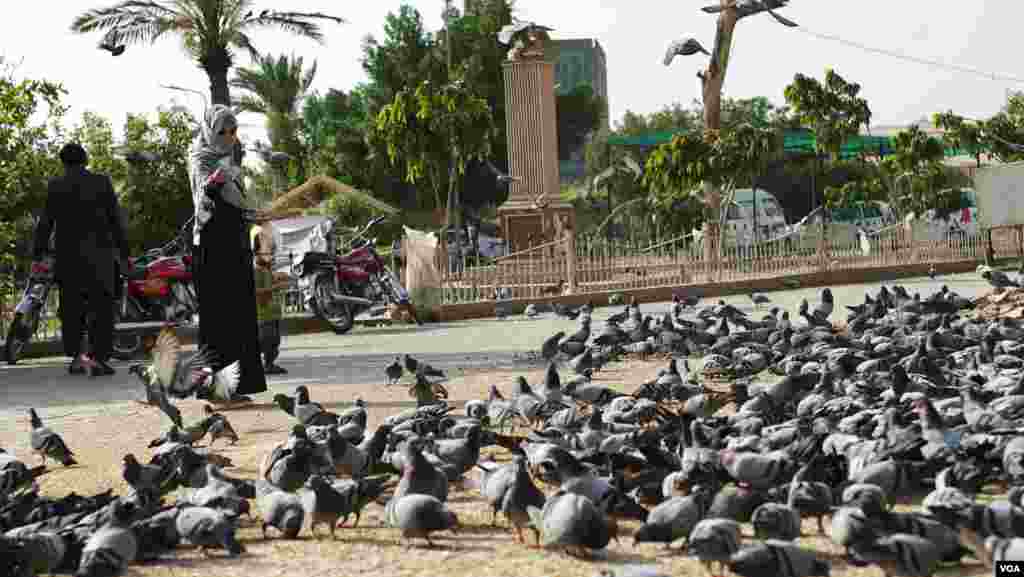 محمد فاروق لوگوں سے پیسے لے کر خود دانا ڈال دیتے ہیں تو کبھی گاہک اپنے ہاتھ سے دانا ڈالنے کو ترجیح دیتے ہیں۔ 