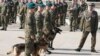 Poland thanks military dogs for their service, giving them army ranks