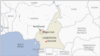 Cameroonian Soldiers Accused of Killing Women, Children Appear in Court