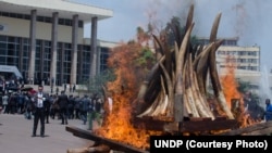 IVOIRE clip_image001.jpg