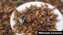Chingrit thot is a Thai dish of deep-fried crickets. (Wikimedia Commons)