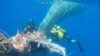 Worldwide Slowdown in Fishing Unlikely to Save Rare Species