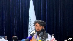 ذبیح الله مجاهد، سخنگوی طالبان
