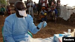 L'écologiste James Koninga prépare à extraire des échantillons de sang et d'organes d'un rongeur Mastomys natalensis dans le village de Jormu dans le sud de la Sierra Leone Février 8 2011. La fièvre de Lassa, du nom de la ville du Nigeria où elle a été identifié pour la première en 1969, fait partie d'une liste américaine des maladies de la «catégorie A»