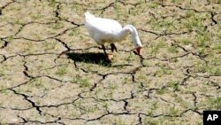 Moçambique atenta a mudanças climáticas