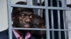 Top Kenyan official claims Kenya is ‘safe haven’ as cases of state-sanctioned abductions surge