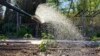 Measure Rain to Keep Your Garden Happy