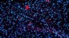 Drug Reverses Alzheimer's in Lab Mice