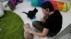 COVID-19 and Your Pet: What You Need to Know