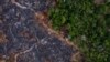 Reino Unido podría unirse al Fondo Amazonia para ayudar a Brasil a controlar deforestación