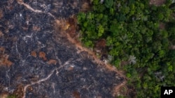 Una zona quemada del bosque tropical de la Amazonia en Prainha, en el estado de Pará, Brasil, en una foto del 23 de noviembre de 2019. La amazonia ha perdido el 10% de su vegetación autóctona en 4 décadas. 